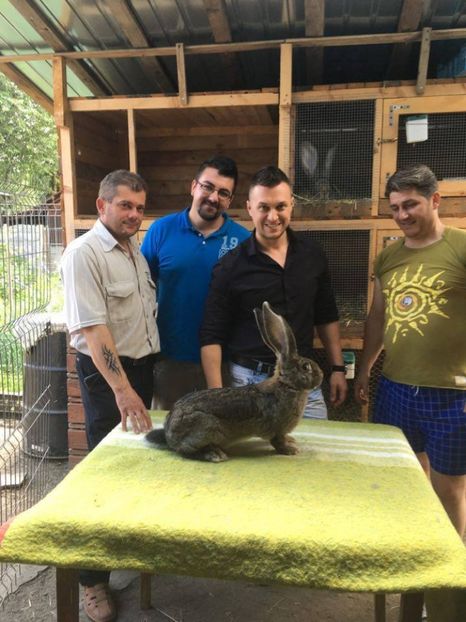  - Vizita dlui Onujec