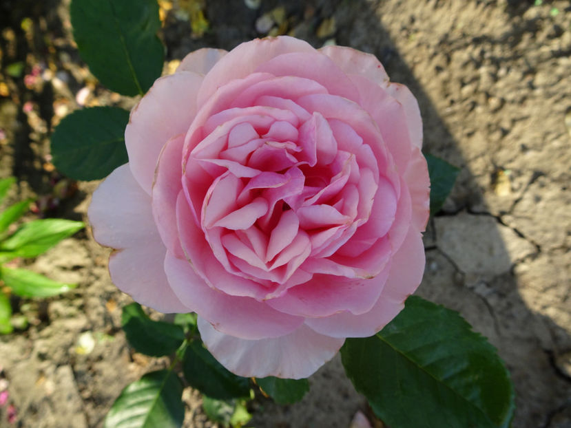  - Natasha Richardson