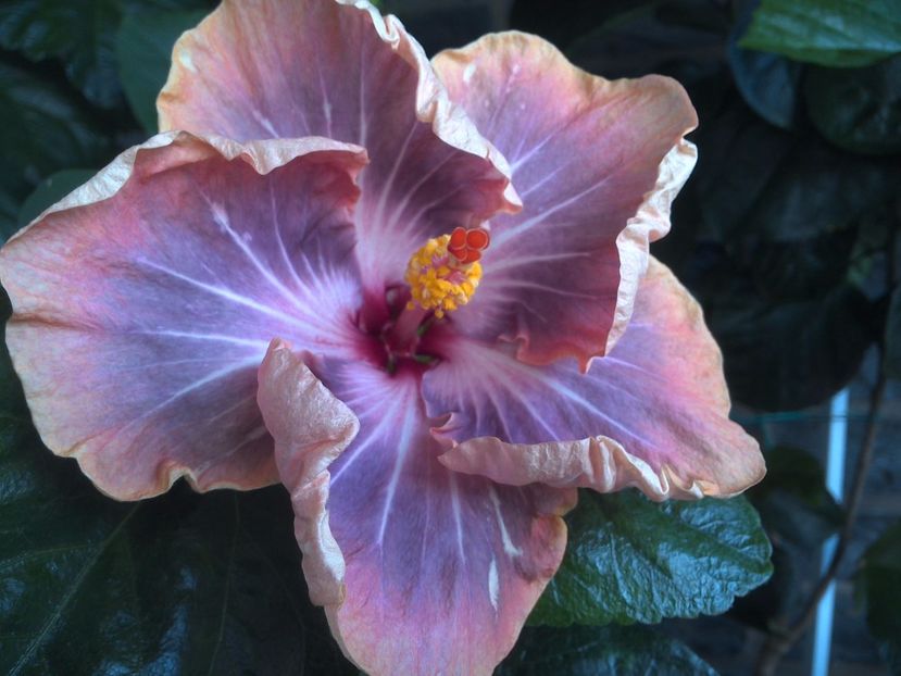 WIN_20170626_103649 - Gabriel