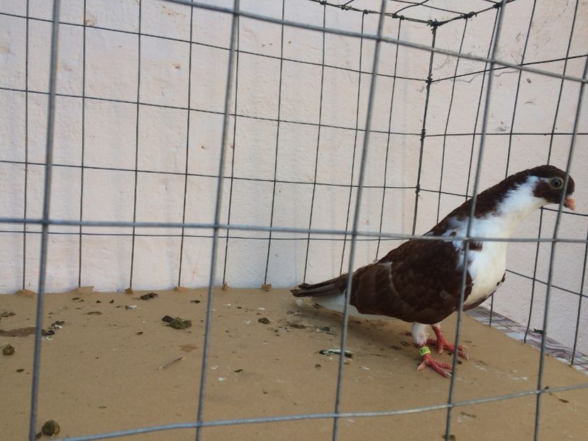 f 2017  8905_3 - tineret 2017