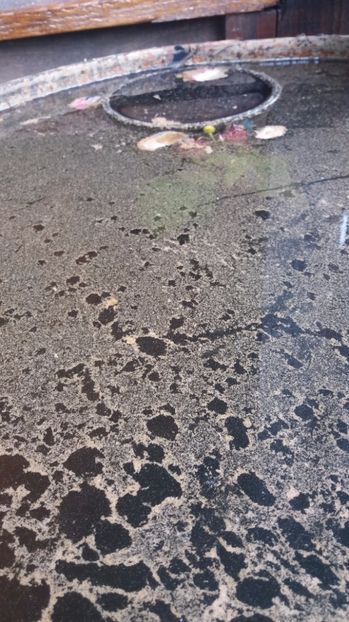  - Ciudateniile naturii