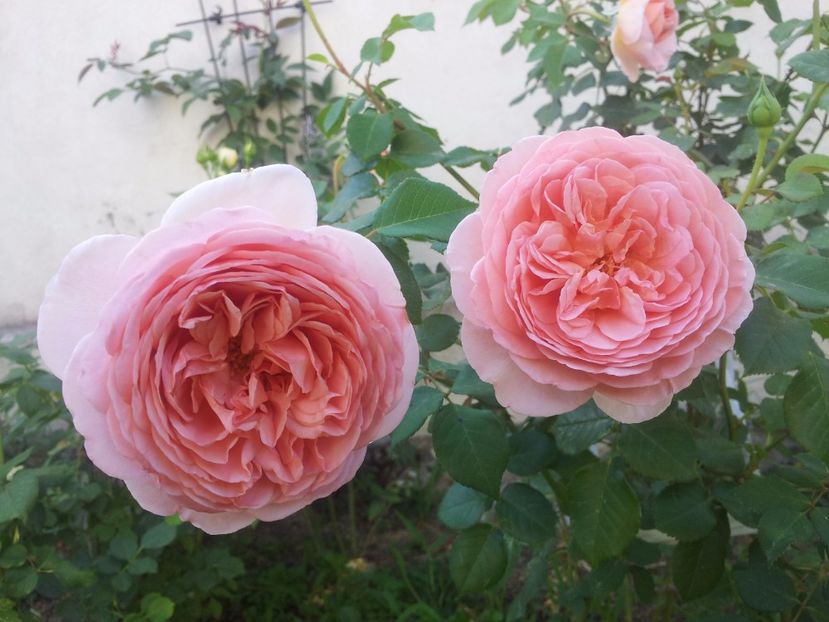 - Abraham Darby