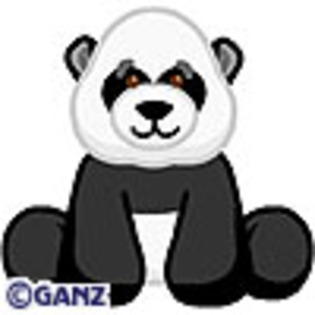 Panda  - pe nett - webkinz
