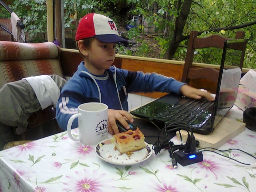 27 iun 2017 Iar a iesit soarele - 2017 VARA LA GRADINA