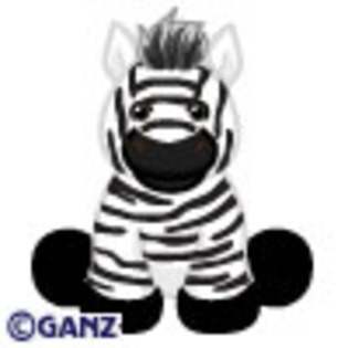 Zebra - pe nett - webkinz