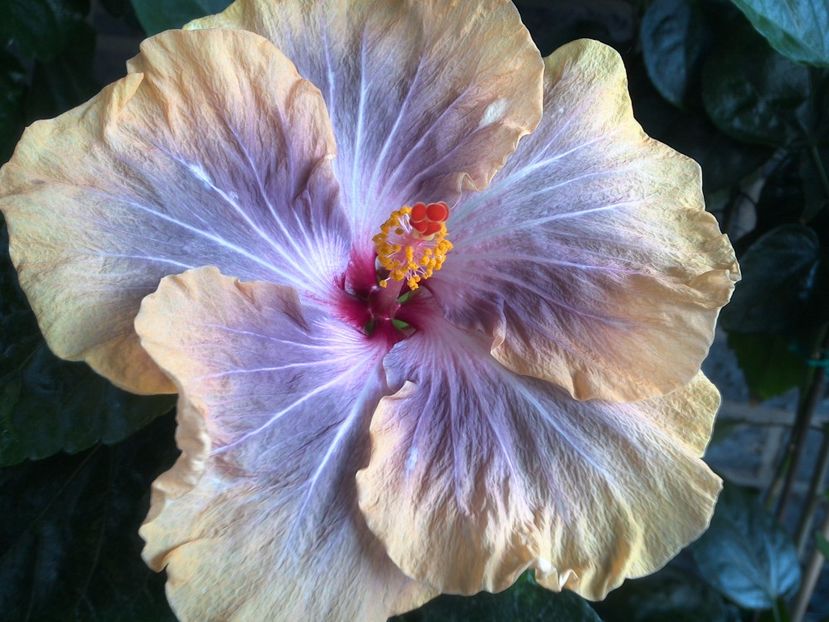 WIN_20170627_074249 - Gabriel