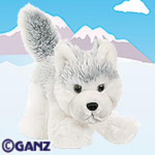 husky - webkinz