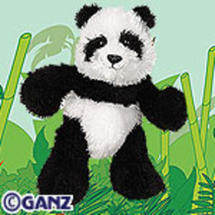 panda - webkinz
