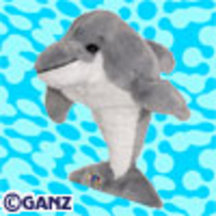 bottlenose_dolphin - webkinz