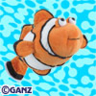 clown_fish