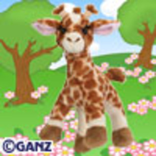 giraffe - webkinz