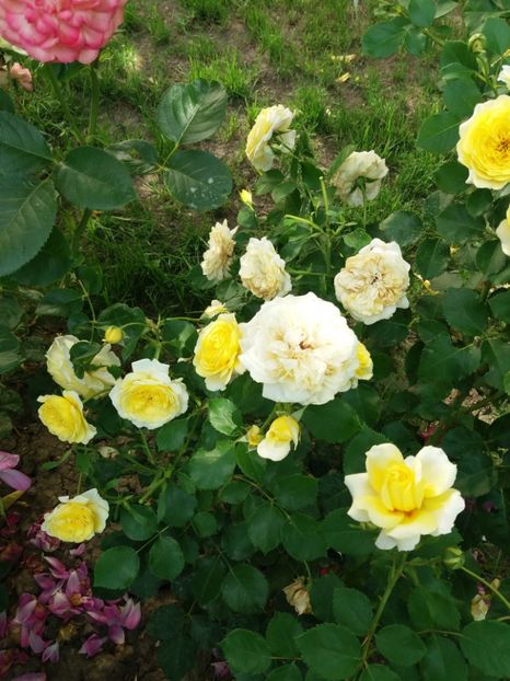  - The sun and the heat