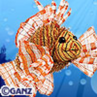 lionfish