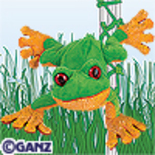 tree_frog
