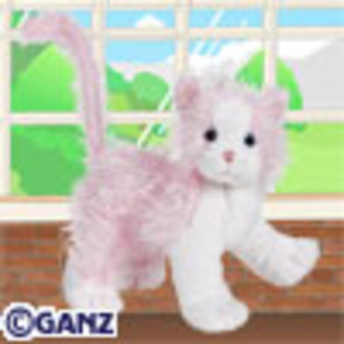 pink_and_white_cat - webkinz