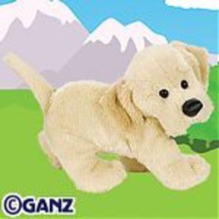 yellow%20lab catel webkinz