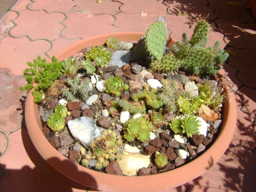 Minirocarie - r Vara 2016-2017-2018-2019