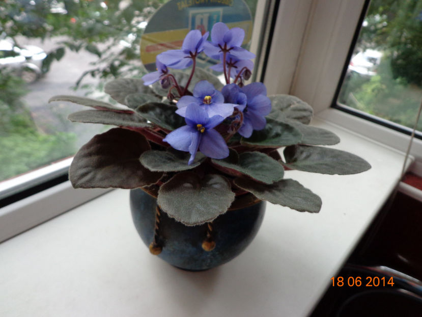 Ballet Loni - Violete