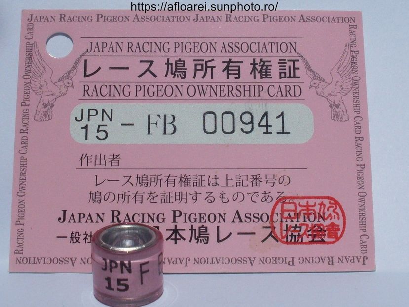 JPN 15 F - JAPONIA-JPN