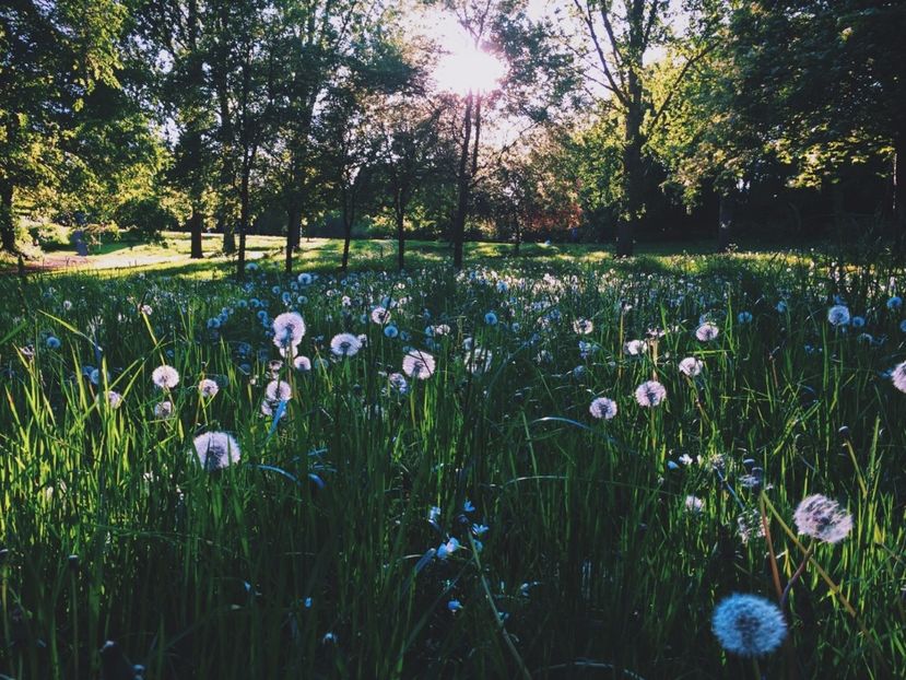 ❝You`ll need coffee shops and sunsets and road trips. Airplanes and passports and new songs and old - where do you put your hands on somebody who hurts everywhere