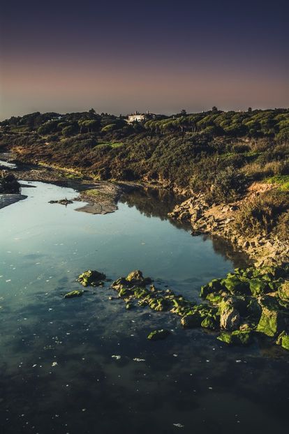 ❝There`s a corner of my heart that is yours. And I don`t mean for now, or until I`ve found somebody  - where do you put your hands on somebody who hurts everywhere