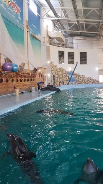 IMG-20170327-WA0019 - 001 Delfinariul OSKAR din Truskavets