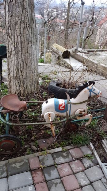 IMG-20170326-WA0083 - 001 Amintiri din Ukraina 2017