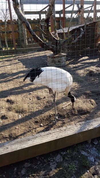 IMG-20170328-WA0010 - 001 Amintiri din Ukraina 2017