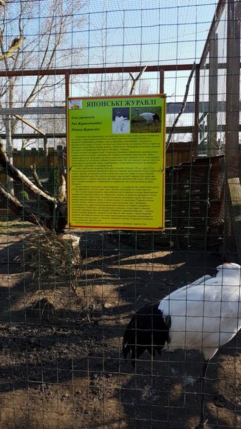 IMG-20170328-WA0012 - 001 Gradina ZOO Limpopo Ukraina