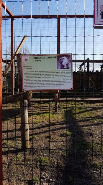 IMG-20170328-WA0020 - 001 Gradina ZOO Limpopo Ukraina