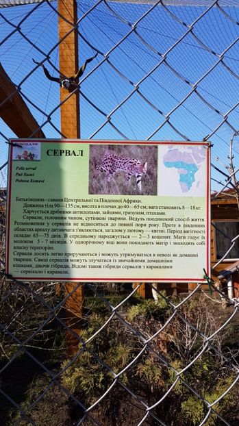 IMG-20170328-WA0028 - 001 Gradina ZOO Limpopo Ukraina