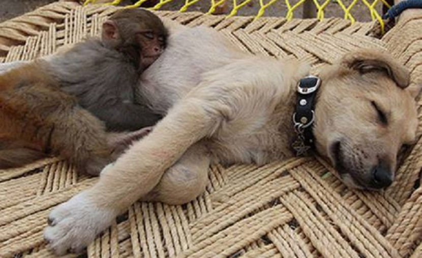  - NATURA ȘI SURPRIZELE EI