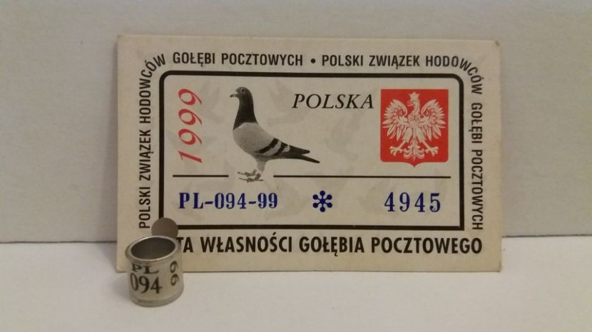  - Inele Polonia - 51 piese