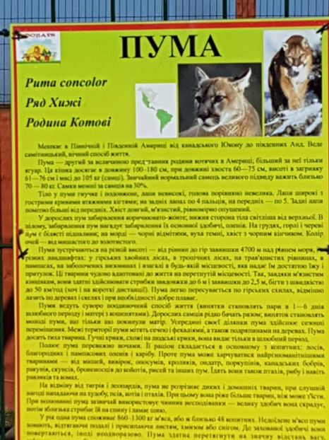  - 001 Gradina ZOO Limpopo Ukraina