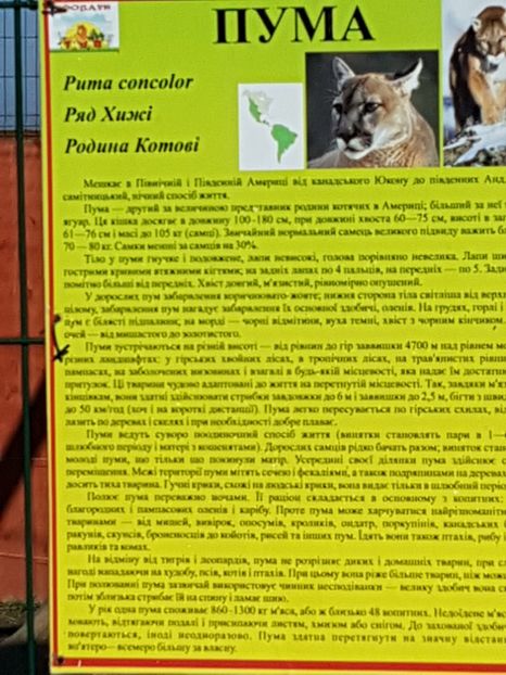  - 001 Gradina ZOO Limpopo Ukraina