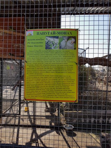  - 001 Gradina ZOO Limpopo Ukraina