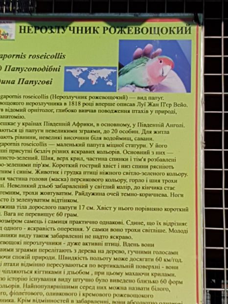  - 001 Gradina ZOO Limpopo Ukraina