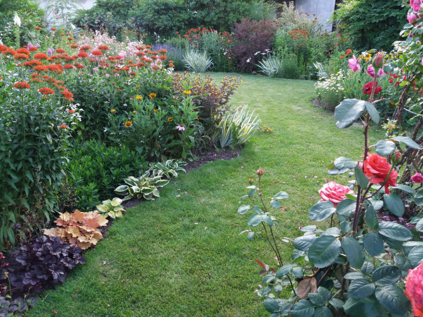 Picture 284 - Vara 2017