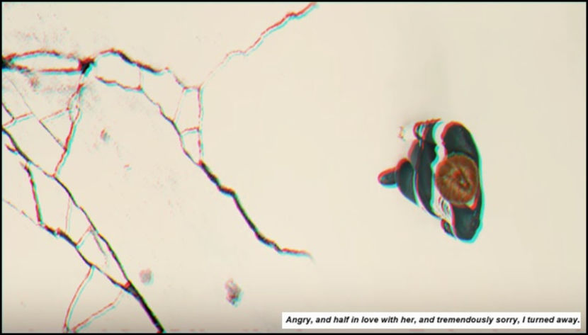 「forever we are young 」ϟ ♯30.06.2017. - we mean a safer place to fall apart