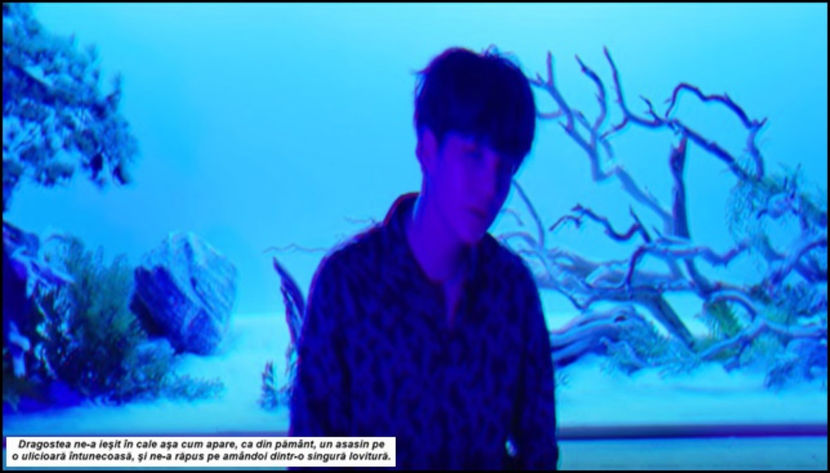 「forever we are young 」ϟ ♯01.07.2017. - we mean a safer place to fall apart