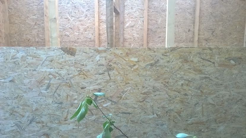 voliera porumbei - noua voliera