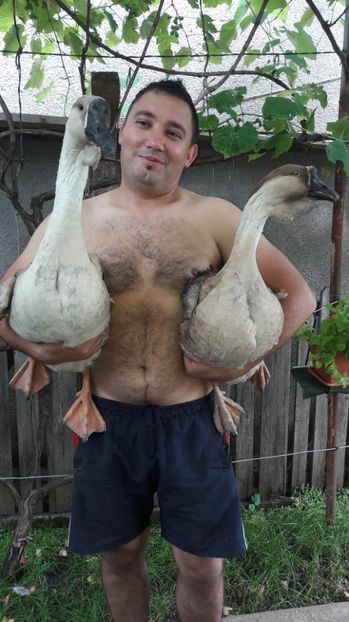  - a Gaste Africane matca 2017