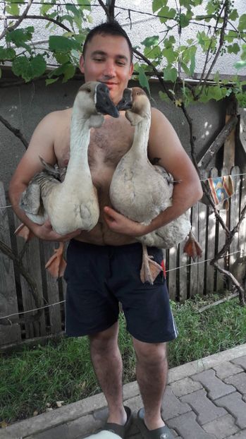  - a Gaste Africane matca 2017