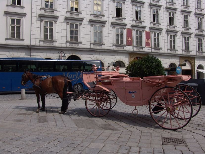  - 2009 PRIMUL OBIECTIV VIENA