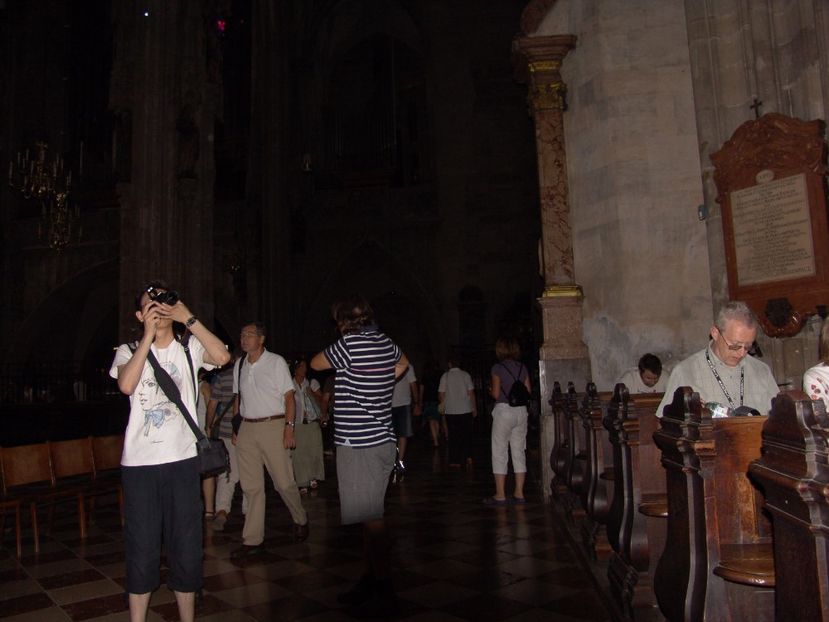  - 2009 PRIMUL OBIECTIV VIENA