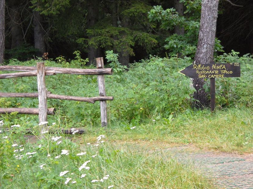  - 2009 AM AJUNS IN ITALIA localitatea LA CA