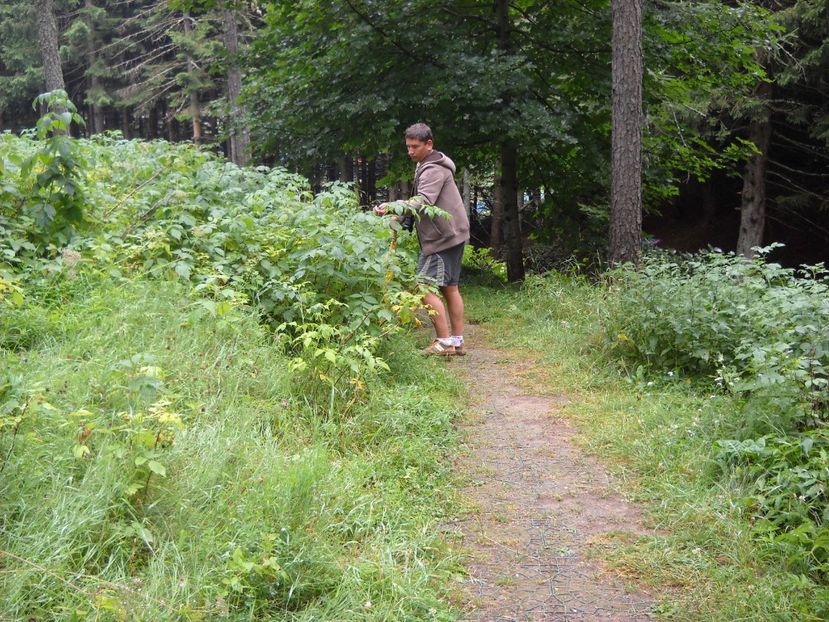  - 2009 AM AJUNS IN ITALIA localitatea LA CA