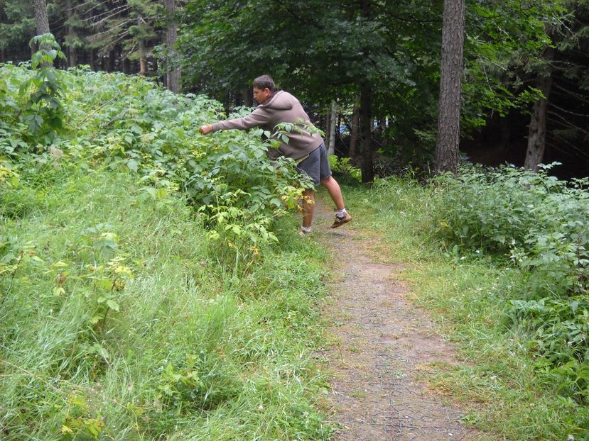  - 2009 AM AJUNS IN ITALIA localitatea LA CA