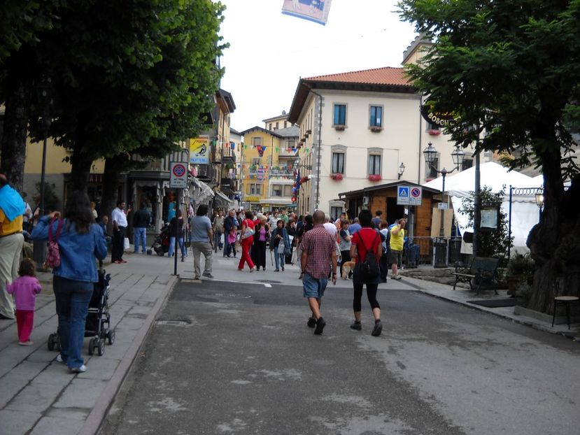  - 2009 AM AJUNS IN ITALIA localitatea LA CA