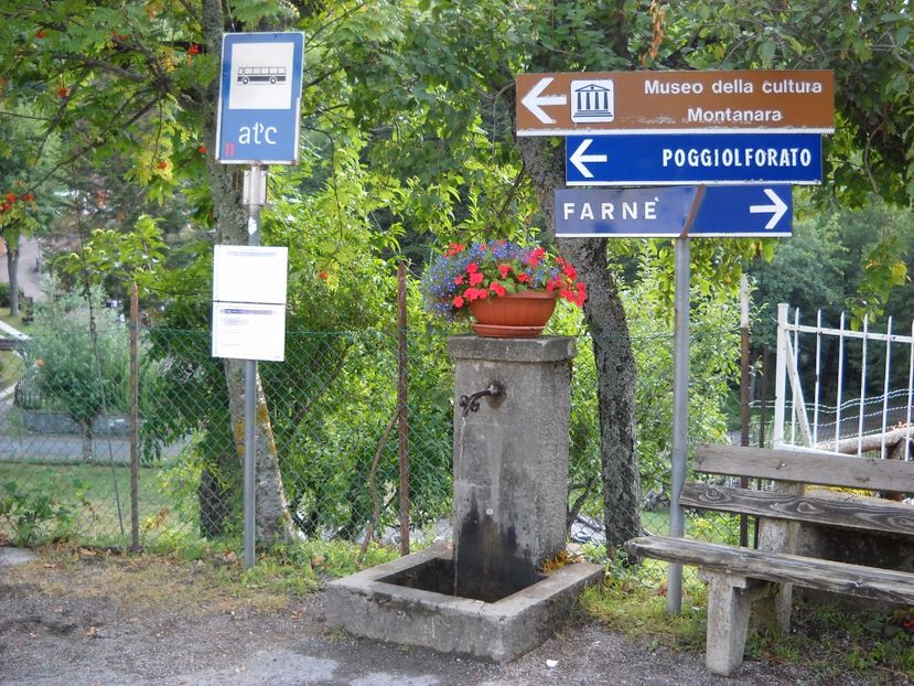  - 2009 AM AJUNS IN ITALIA localitatea LA CA